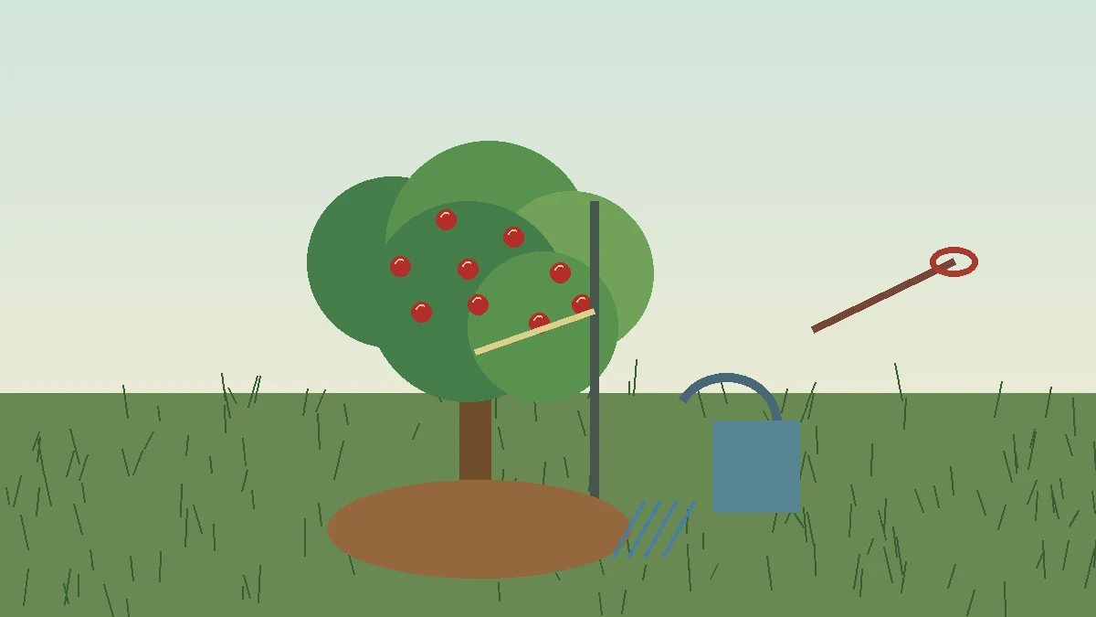 Apple trees: young apple tree care with watering, stake and mulch