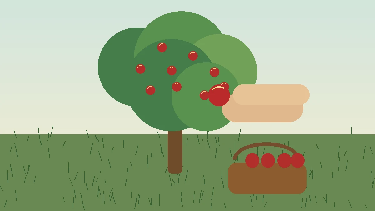 Apple trees: ripe apple harvest shown in a garden