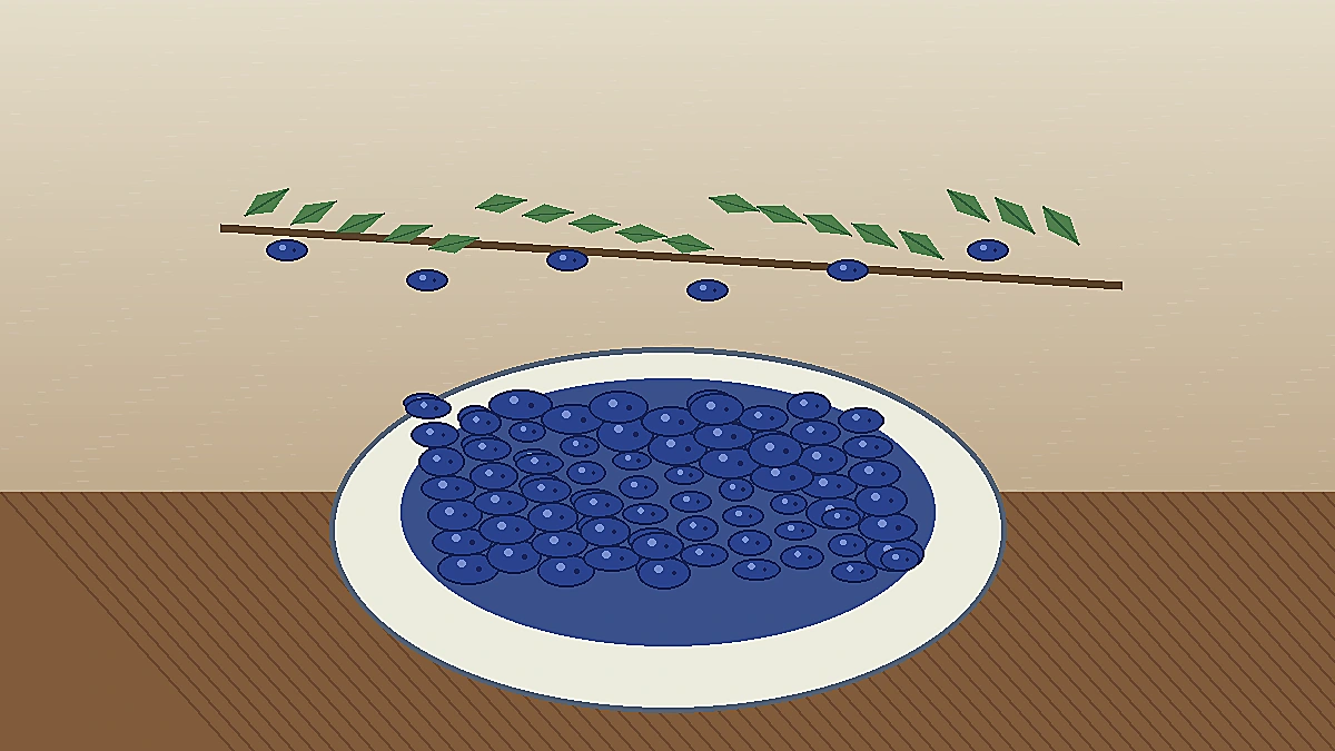 Ripe honeyberries in a small bowl after harvest