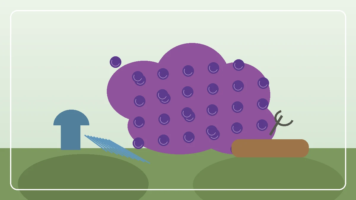 Plum tree with ripe purple plums in a garden